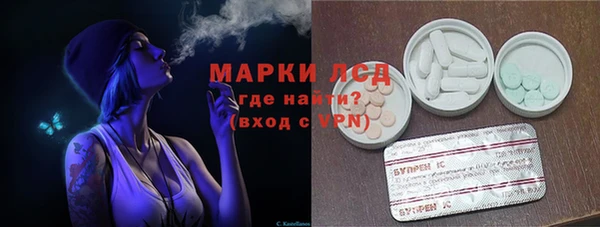 прущие грибы Аркадак