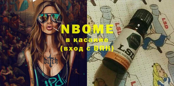 прущие грибы Аркадак