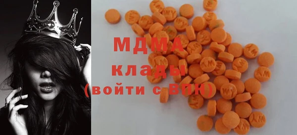 прущие грибы Аркадак