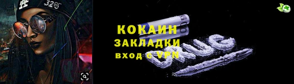 прущие грибы Аркадак
