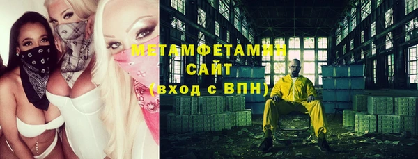 прущие грибы Аркадак