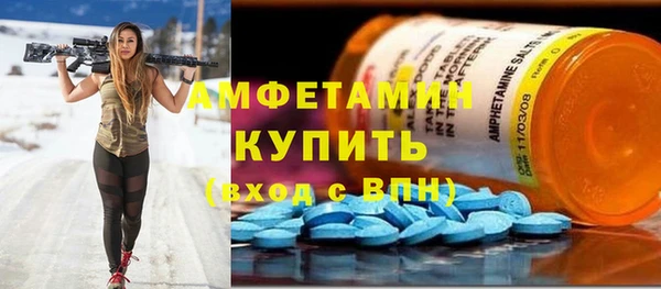 прущие грибы Аркадак