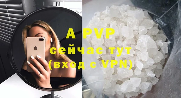 прущие грибы Аркадак