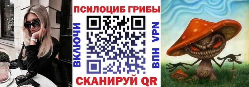 Купить  Сосногорск  Псилоцибиновые грибы мицелий 